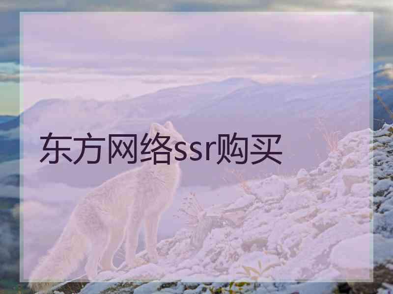 东方网络ssr购买